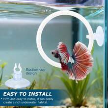 2pcs Bettas Fish Enrichment Toys Ring With Mirror 2 Bio Balls Betas Exercise Loop Toys Bett A Fish Exercise Ring Suitable Fishs Aquarium(Color: White) - White - View 6