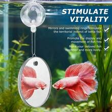 2pcs Bettas Fish Enrichment Toys Ring With Mirror 2 Bio Balls Betas Exercise Loop Toys Bett A Fish Exercise Ring Suitable Fishs Aquarium(Color: White) - White - View 7