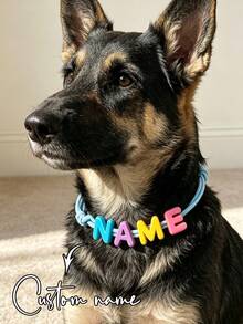 1pc Colorful Customized Letter Dog Collar, Customized Pet Name, Personalized Pet ID Tag, Customized Acrylic Name Tag, Customizable Letter Dog Collar, Birthday Gift, Pet Supplies, Pet Lover Gift, Suitable For Family, Friends And Pets - Grey - View 4
