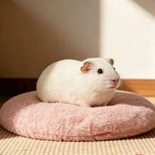 1pc Round Plush Comfortable Pet Resting Pad, Plush Round Pet Sleeping Mat, Warm Habitat Cushion, Soft Pet Sleeping Bed, Suitable For Hamsters, Guinea Pigs, Rabbits, Ferrets, Autumn/Winter Indoor Cage Resting Area Decor - View 6