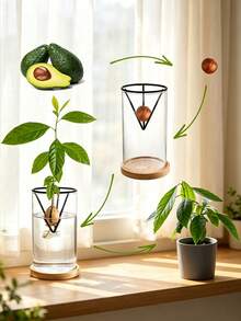 6/3/1pc Hydroponic Seed Starter Pot, Hydroponic Support Rack, Conical Seed Germination Container, Suitable For Avocado And Other Seedlings, Lightweight Classic Pot, Gardening Seedling Support Rack, Suitable For Indoor And Outdoor Gardening, Ideal Choice For Beginners - Multicolor - View 4