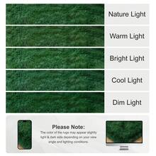 Soft Shag Rugs For Bedroom, Dark Green Fluffy Shaggy Rugs For Living Room Office, Luxury Modern Plush Carpet Girls Boys Room Dorm Indoor Home Decor, Upgrade Non-Slip - 墨綠 - 查看 8
