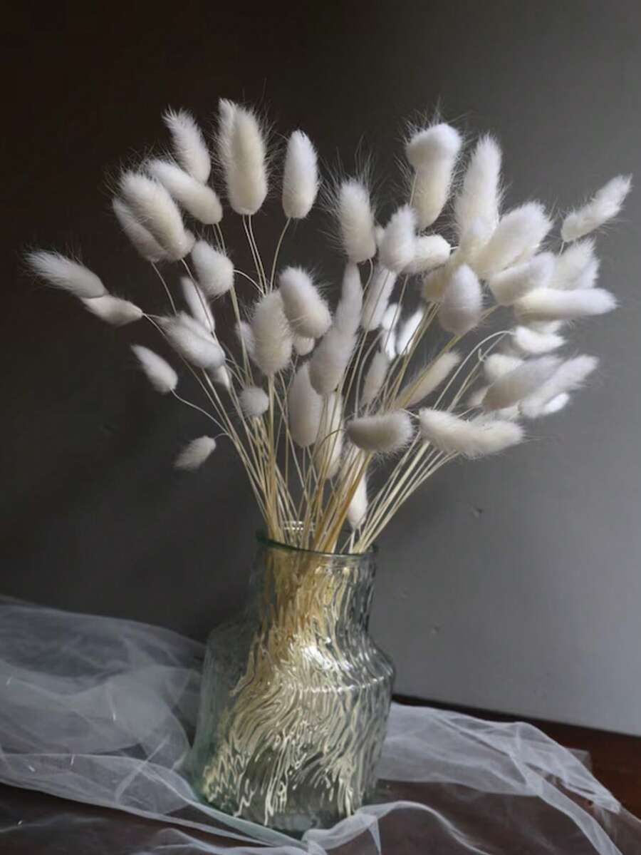 60支 16.5英吋人造兔尾草花莖,居家裝飾人造兔尾草,適用於波希米亞風花藝布置、DIY手工、居家廚房與婚禮裝飾、聖誕裝飾、感恩節裝飾、DIY花環裝飾 - 白色 - 查看 1