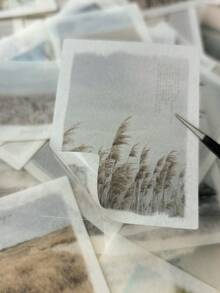 1 Pack 52pcs Landscape Poetry Washi Stickers DIY Scrapbook Diary Material Decals - DT238 - View 5
