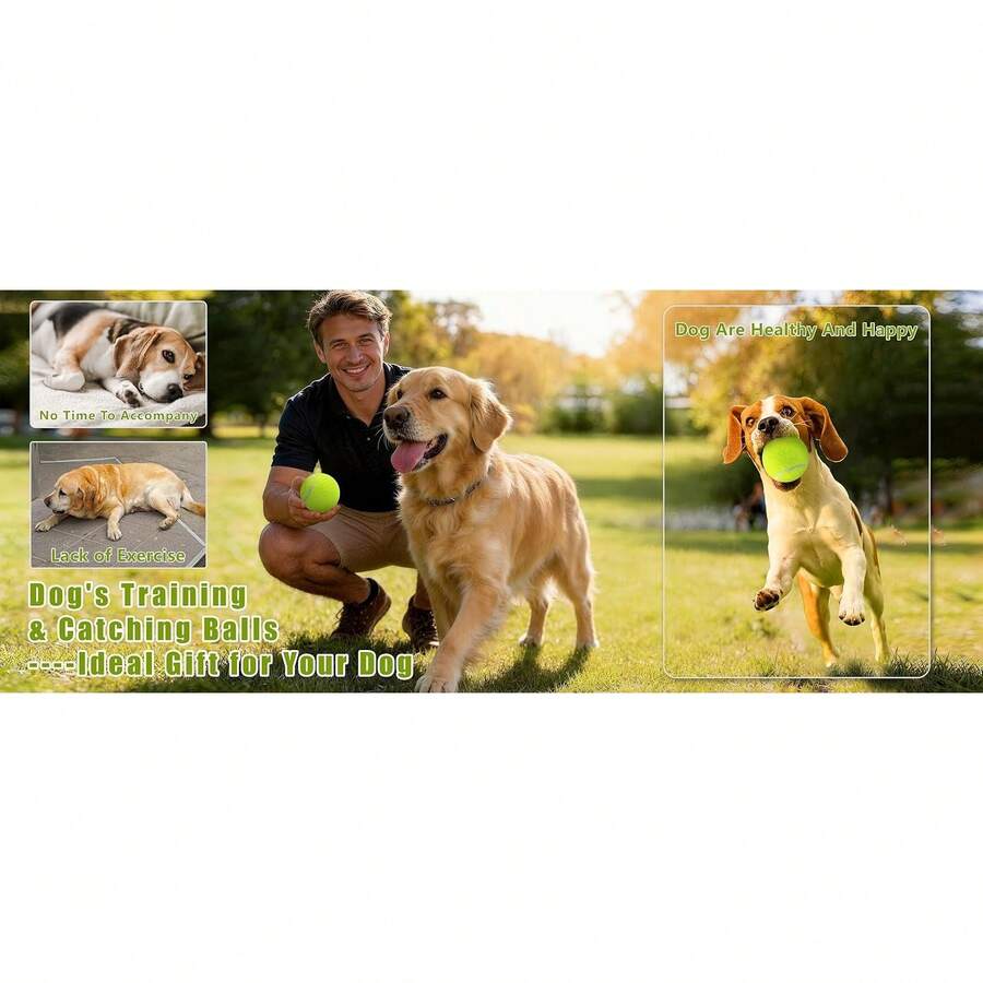 Tennis Balls 6 Pack Training Tennis Balls,High Elasticity Practice Tennis For Beginner, Exercise Playing Balls For Pet Dog HVV5 - 6pcs - View 1