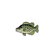 Vintage Game Fish Lapel Enamel Pins And Brooches Badge Pins For Backpacks Bags Backpack Cool Decoration Friend For Gifts - Multicolor - View 17