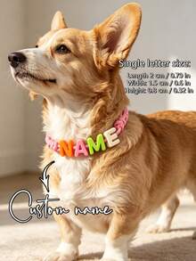 1pc Colorful Customized Letter Dog Collar, Customized Pet Name, Personalized Pet ID Tag, Customized Acrylic Name Tag, Customizable Letter Dog Collar, Birthday Gift, Pet Supplies, Pet Lover Gift, Suitable For Family, Friends And Pets - Grey - View 2