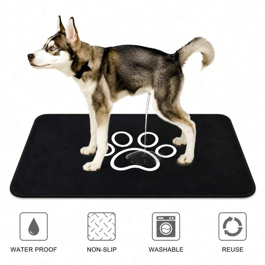 Ice Pad