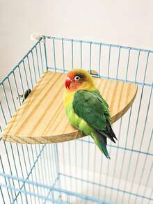 1pc Random Color Wooden Fan-Shaped Bird Cage Platform, Bird Toy, Hamster Jump Board, Parrot Perch, Resting Platform, Suitable For Parrots, Hamsters, Jerboas And Long-Tailed Rats, Bird Cage Accessories, Bird Toys, Bird House, Autumn Decoration - View 8