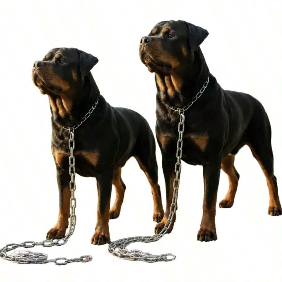 2 Corrente Para Cachorro Zincada 1,5m 3,5mm N0 Ws Grande - Prata - Visão 1
