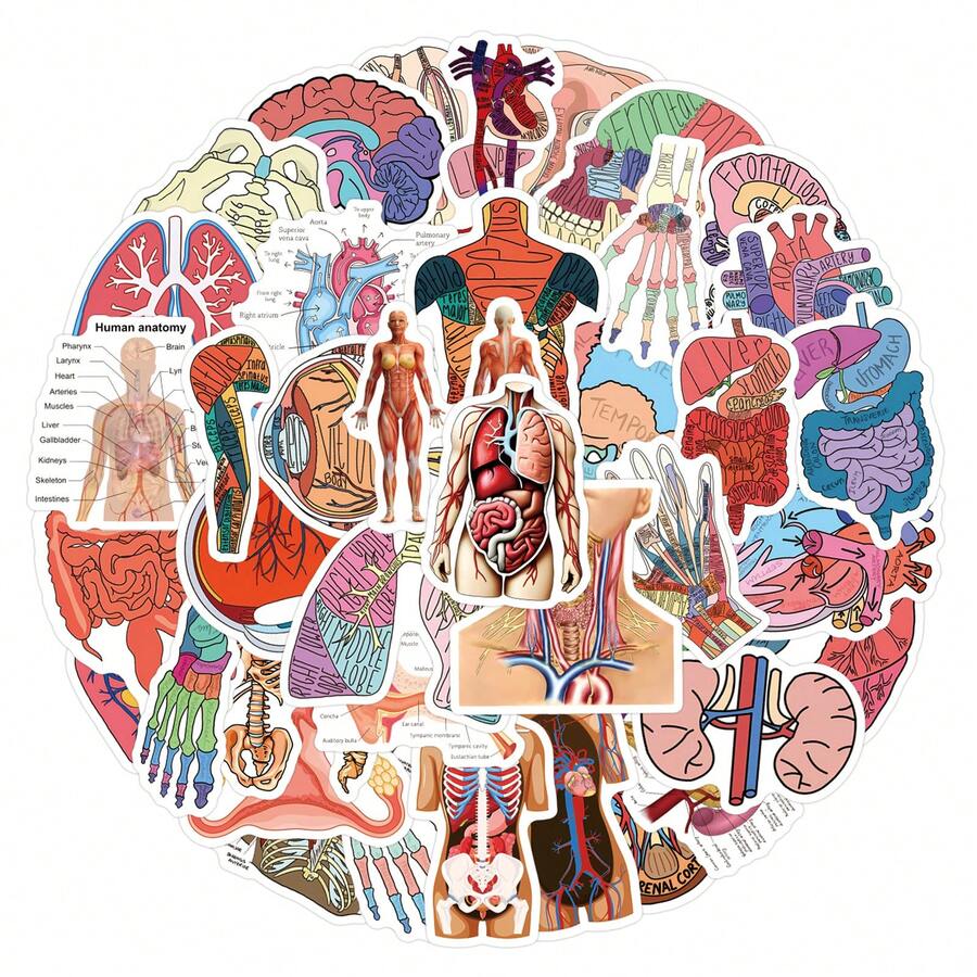 60 Pcs Human Anatomy Stickers, Doctor Theme, For Decorating Water Bottles, Laptops, Phones, Skateboards, Scrapbooks, Journals, Etc., Great As Gifts. - One Size Fits All - View 1