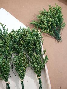 Green Lover Grass