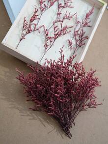 26/55/110/150/300pcs Mini Artificial Baby's Breath And Other Artificial Flowers - For Resin Mold Art And Handicrafts, Colored Bouquets For Hair Accessories, Wedding Wreaths, Table Flowers, Home Decor - For Resin Mold Art And Handicrafts, Ivory White Bouquets For Hair Accessories, Wedding Wreaths, Table Flowers And Home Decor - Red Lover Grass - View 4