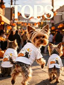 1 buah Pakaian Hewan Peliharaan untuk Kucing dan Anjing, Atasan Halloween Lucu, Bernapas dan Hangat, Anti Rontok, Cocok untuk Dipakai di Dalam dan Luar Ruangan - MultiWarna - View 7