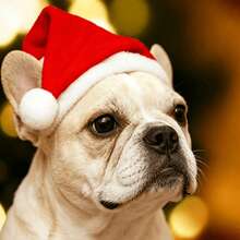 1pc Christmas Decoration Pet Christmas Hat Dog Small Plush Hat - Red - View 9