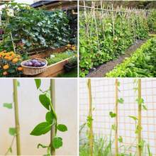 Natural Bamboo Plant Stake,7FT 50pcs,Sturdy Bamboo Poles, Durable Plant Bamboo Stake, Garden Climbing Plant Bracket.  For Indoor Potted Plants, Vegetables, Vines, Marking Stakes ,Small Fence Posts - C - View 5