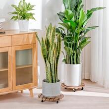 1件圓形碳化木植物托盤附通用輪,可滾動花盆底座架,室內外花園庭院可用移動式植物架 - 彩色 - 查看 8