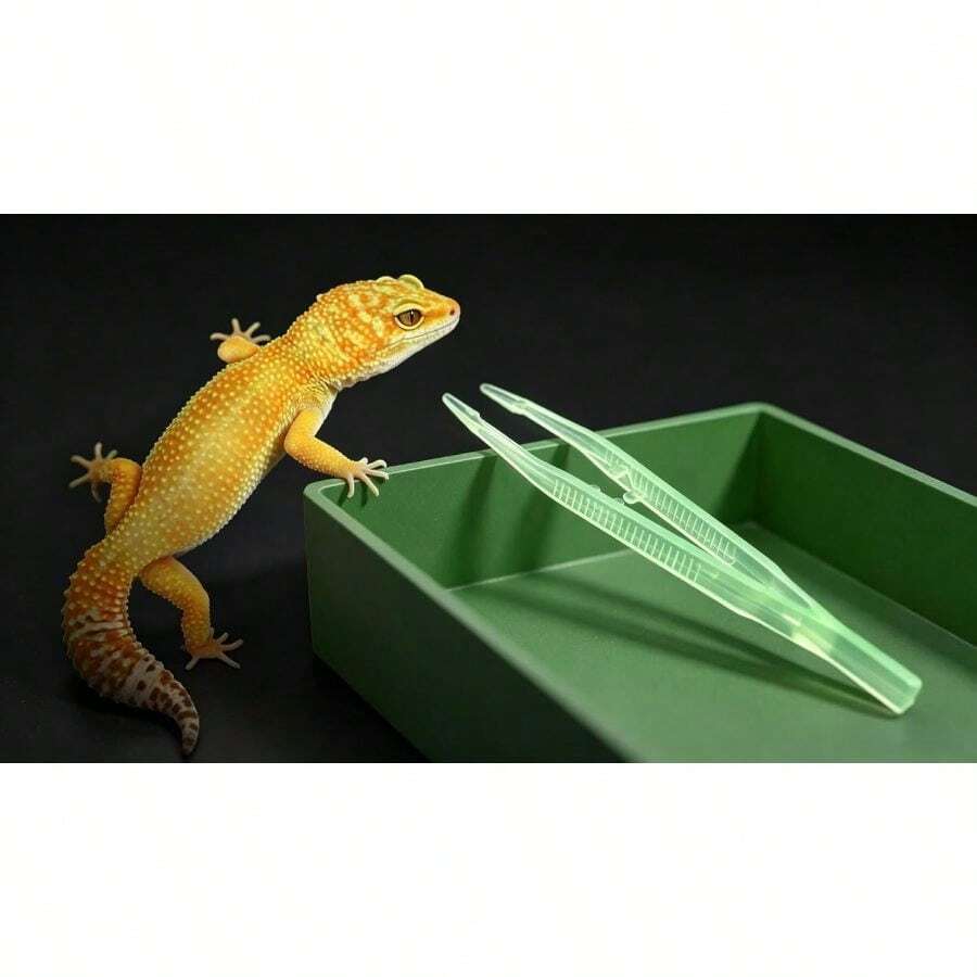 Multifunctional Detachable Reptile Food Bowl+ Luminous Tweezers, Reptile Breeding Kit Geckos And Lizards - Multicolor - View 1