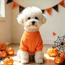 1PC Pet T-Shirt Dog Halloween Orange T-Shirt Funny Letter Print Pet Autumn Outfit Bichon Teddy Small Dog Holiday Party Warm Clothing - Orange - View 10