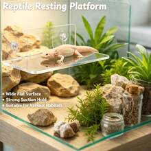 Axolotl, Lizard Resting Platform With Suction Cups, Reptile Resting Stand, Amphibian Aquatic Frog Habitat, Small Pet Tank Resting Platform, Suction Cup Fixed, Suitable For Hexagonal Dinosaur, Leopard Gecko, Frog, Amphibians - View 8