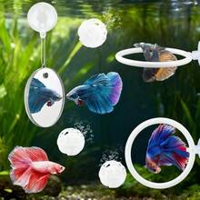 2pcs Bettas Fish Enrichment Toys Ring With Mirror 2 Bio Balls Betas Exercise Loop Toys Bett A Fish Exercise Ring Suitable Fishs Aquarium(Color: White) - White - View 8