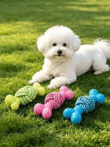 1pc Dog Toy, Textured Rubber Bone Toy, Braided Rope Knot Chewing Toy, Durable Dog Chew Toy, Pet Dental Rope Knot Toy, Suitable For Indoor Play, Outdoor Lawn Interaction, Dog Tug-Of-War, Dog Chewing, Small To Medium Dog Toy, Outdoor Dog Walking Play Toy, Durable And Tear-Resistant, Washable And Odor-Resistant, Dog Ball, Dog Toy - Multicolor - View 5