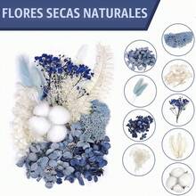 Natural And Artificial Dried Flowers For Decorations, Flowers For Crafts, Wedding Floral Arrangements, Vase Decorations, Dried Flower Bouquets And Corsages, Preserved Flowers - one-size - View 4