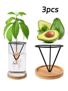 6/3/1pc Hydroponic Seed Starter Pot, Hydroponic Support Rack, Conical Seed Germination Container, Suitable For Avocado And Other Seedlings, Lightweight Classic Pot, Gardening Seedling Support Rack, Suitable For Indoor And Outdoor Gardening, Ideal Choice For Beginners - Multicolor - View 13