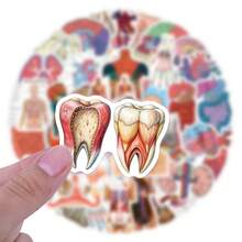60 Pcs Human Anatomy Stickers, Doctor Theme, For Decorating Water Bottles, Laptops, Phones, Skateboards, Scrapbooks, Journals, Etc., Great As Gifts. - One Size Fits All - View 3