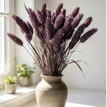 Black-purple