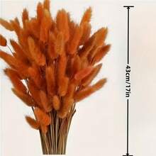 60支 16.5英吋人造兔尾草花莖，居家裝飾用，適合波希米亞風花藝插花、DIY手工、居家廚房與婚禮裝飾、聖誕裝飾、聖誕感恩節裝飾、DIY花環裝飾 - 亮橙色 - 查看 5