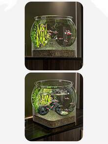 Round Transparent Aquarium With Rock Landscape Design, Desktop Fish Tank, Stable For Small Fish, Betta, Shrimp And Aquatic Pet Turtles, Home Office Garden Decorative Mini Fish Tank - Multicolor - View 5