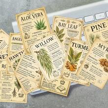 30 Vintage Herbal Knowledge Cards, Magic Herb Guide Grimoire Cards, Vintage Grimoire Herb Reference Cards, Witchcraft Herb Cards, Illustrated Plant Reference Cards - Multicolor - View 6