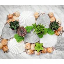 Shell Sets With Multiple Package Options To Choose From. Decorative Shell Ornaments Suited For Indoor Kitchen Styling And Different DIY Handmade Production Needs. - 16 Pieces - View 4