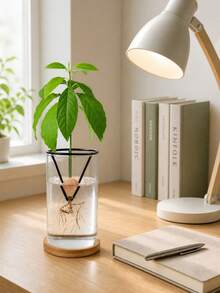 1/2pcs Hydroponic Seedling Support Pot, Creative Cone-Shaped Plastic Seedling Container, Suitable For Avocado And Various Plant Seeds Germination And Cultivation, Lightweight Hanging Design, Gardening Gift Home Decor - Multicolor - View 4