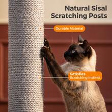 HaluPeit Dieser extra große Katzenbaum eignet sich für mehrere Katzen. Er verfügt über 4 halbumschlossene Sisal-Stämme, zwei private Höhlen, zwei Ruheplattformen, einen Kratzbaum und einen Plüsch-Katzenball und vereint so Spielen und Kratzen in einem - Hellgrau - Übersicht 3