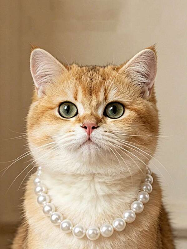 Pet Pearl Necklace Cat Fashion 10mm Full Pearl Collar Dog Classic Accessory