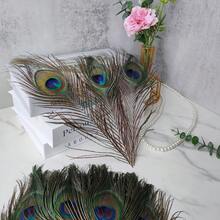 70pcs/50pcs Bulk Artificial Peacock Feathers, Suitable For Vases, Crafts, Weddings, Home Parties, Christmas Decorations, Etc. - Multicolor - View 9