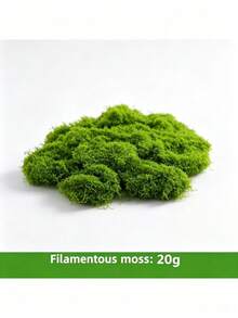 1 Pack 100g Artificial Moss, Suitable For Home Decor, Micro Landscape Arrangement, Lawn Micro Landscape, Potted Plants And Garden Landscape Decoration, Suitable For Valentine's Day, Valentine's Day Wedding, Birthday And Other Occasions - A - View 6