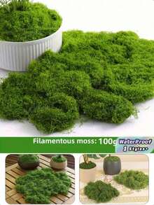 1 Pack 100g Artificial Moss, Suitable For Home Decor, Micro Landscape Arrangement, Lawn Micro Landscape, Potted Plants And Garden Landscape Decoration, Suitable For Valentine's Day, Valentine's Day Wedding, Birthday And Other Occasions - A - View 1