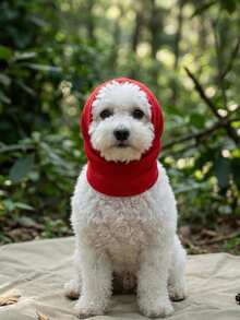 Lightweight Breathable Pure Red Polyester Pet Head Cover With Elastic Headband, Anti-Bite Design, Fun Decorative Accessory, Suitable For Small To Medium Dogs (E.G., Teddy, Bichon) For Year-Round Use - Red - View 3