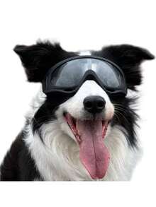 1 đôi kính bảo hộ chống gió cho chó, thiết kế dây đeo kép, phù hợp cho Border Collie, Golden Retriever và Corgi, dùng để bảo vệ khi đi xe - A - Xem 5