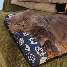Pet Sofa - Blue Cat - View 4