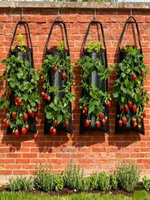 Hanging Strawberry Planting Bag, Vertical Planting Bag, Multi-Pocket Hanging Strawberry Planting Bag, Suitable For Balcony, Patio, Boston Ivy And Vegetable Planting, Breathable, Water-Permeable, Durable, Reusable - Multicolor - View 3