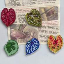 5pcs/Pack - Magnet Kulkas Motif Daun Tanaman Bionik - Bahan Akrilik Gaya Minimalis - Dekorasi Rumah Magnet Kulkas, Magnet Sederhana - Tempat Pesan, Stiker Dekorasi Kulkas Gaya Segar yang Menenangkan, Hadiah untuk Pasangan - 5Pcs - View 13