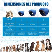 Pet Headwear & Wigs - Navy Blue - View 2