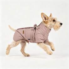 1pc Temperature-Locking Flocked Pet Winter Coat, Suitable For Small Dogs And Cats - Multicolor - View 14