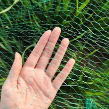 Durable Black Bird Netting, Reusable Breathable Large Mesh Cover, Suitable For Vegetables, Fruit Trees And Plants, Durable Animal And Insect Barrier, Easy To Install, Garden Protection Cover, Vegetable Protection Net, Tear-Resistant Material - A - View 9