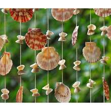 Shell Sets With Multiple Package Options To Choose From. Decorative Shell Ornaments Suited For Indoor Kitchen Styling And Different DIY Handmade Production Needs. - 16 Pieces - View 2