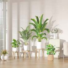 Plant Stands & Tables - Multicolor - View 6